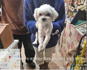 대전동물보호센터_430367202300681