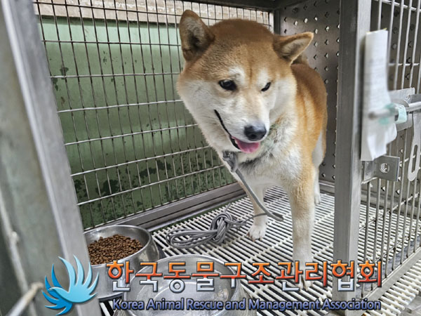 한국동물구조관리협회_411300202300465