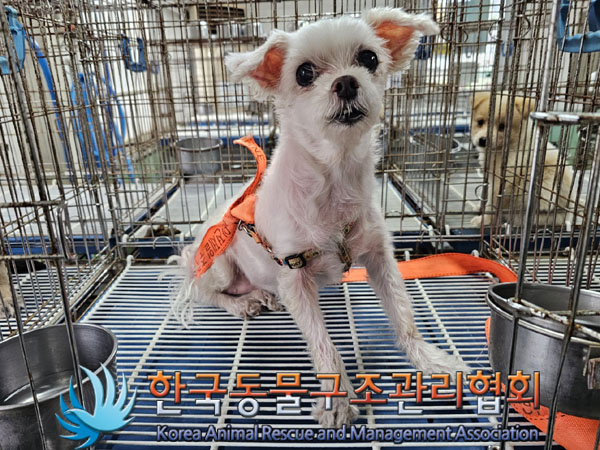 한국동물구조관리협회_411315202300701