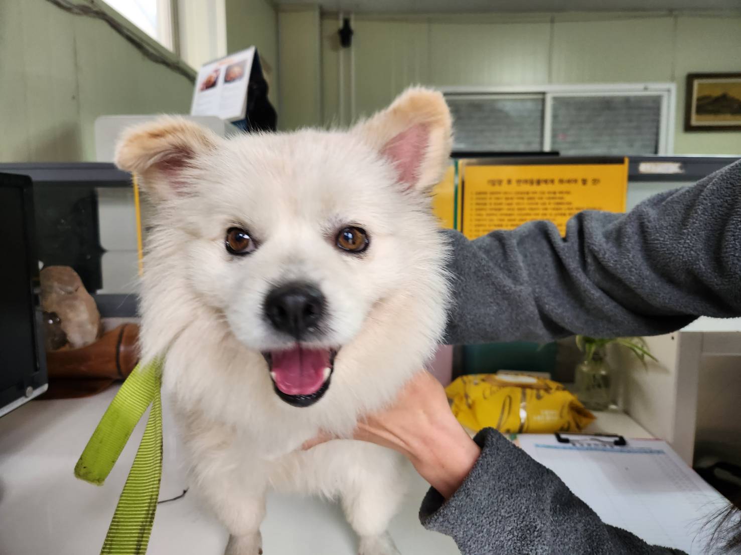 한국야생동물보호협회_441393202302201