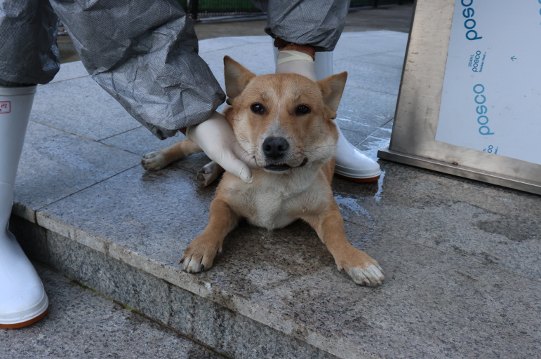 제주 동물보호센터_450650202303784