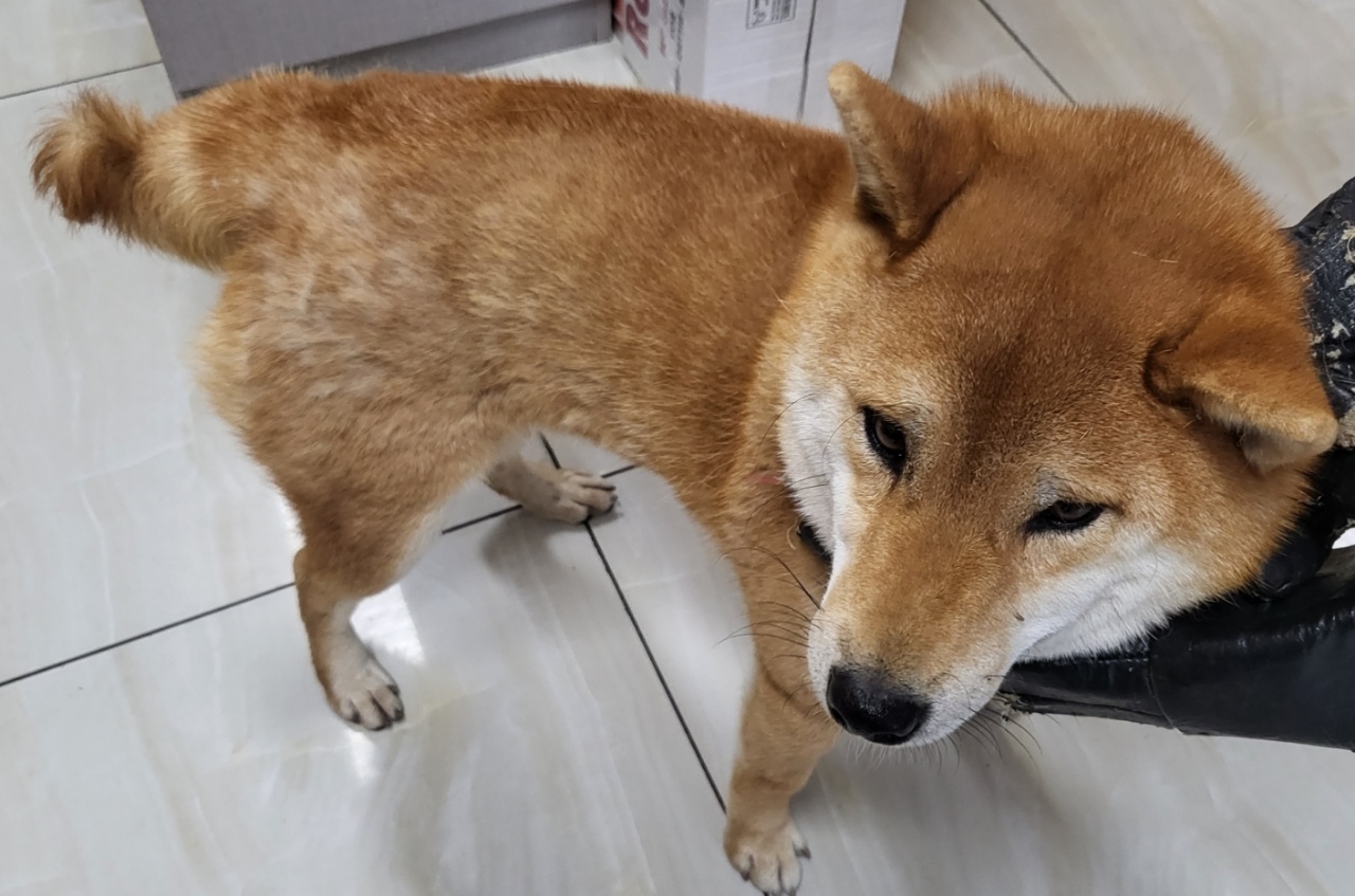 최종주동물병원_443444202300594