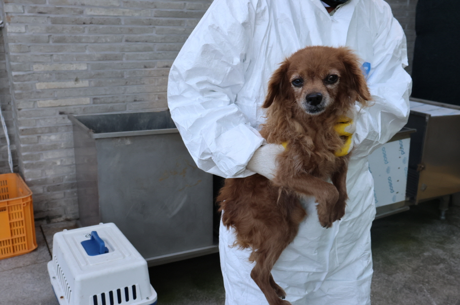 제주 동물보호센터_450650202303801