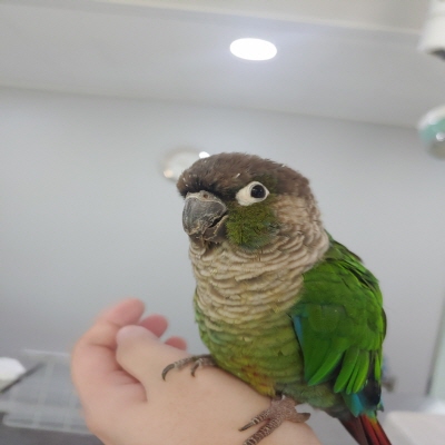 누리동물병원_426333202300840
