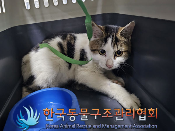종료(자연사) 한국…
