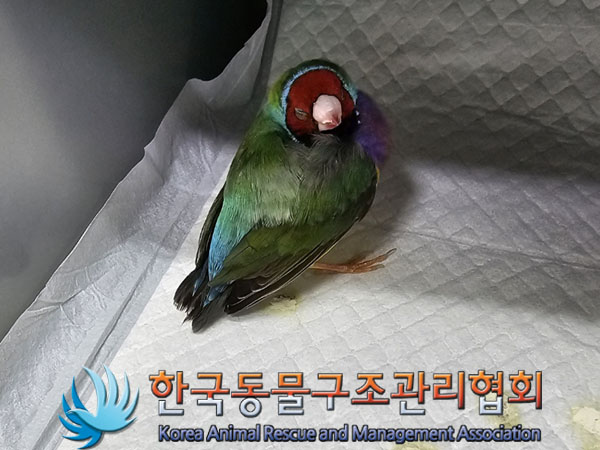 한국동물구조관리협회_411316202300824