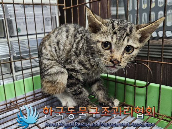 종료(자연사) 한국…