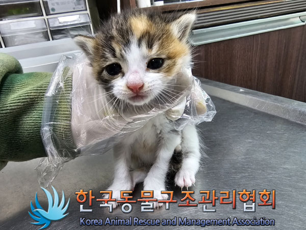 한국동물구조관리협회_441409202301832
