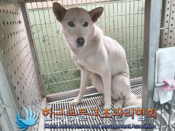 한국동물구조관리협회_441409202301826