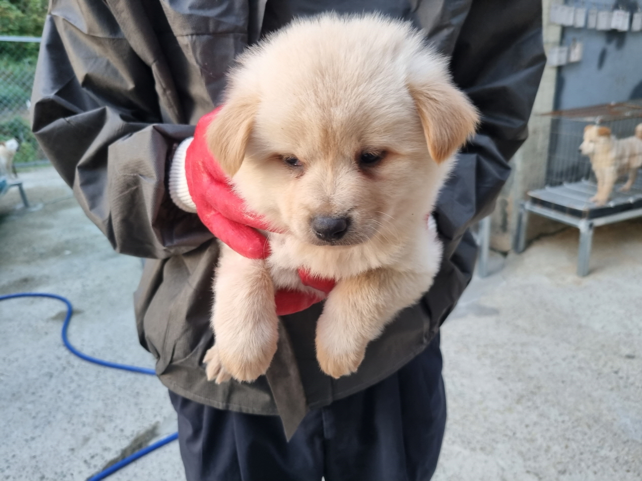 양산시 동물보호센터_448538202300660
