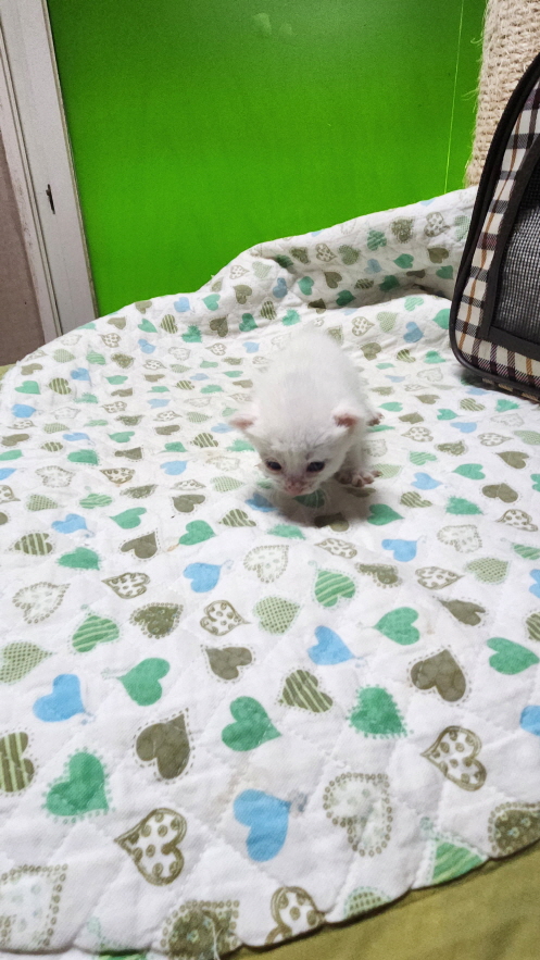 종료(자연사) 한국…