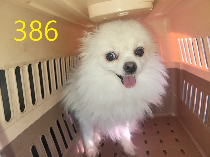 신영재동물병원_428355202300608