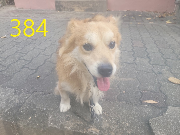 신영재동물병원_428355202300606