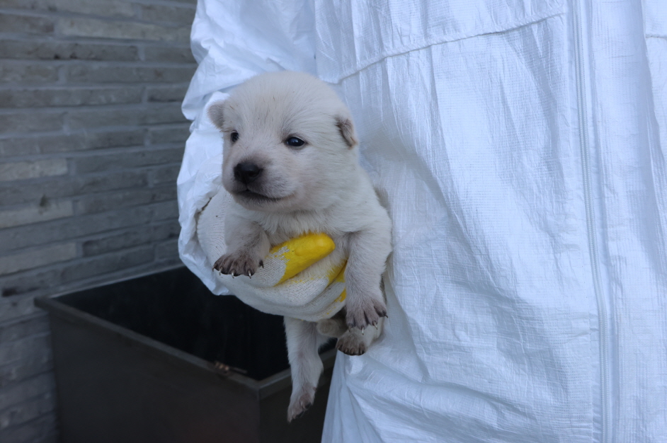 제주 동물보호센터_450650202303814