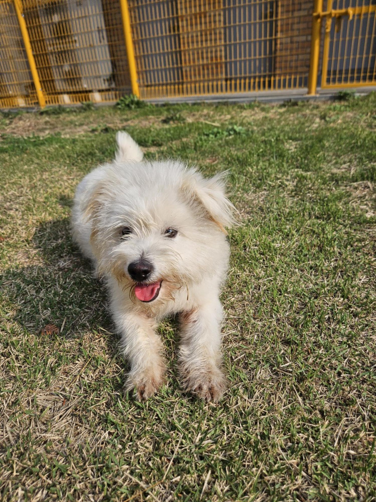 아산동물복지지원센터_444452202301974