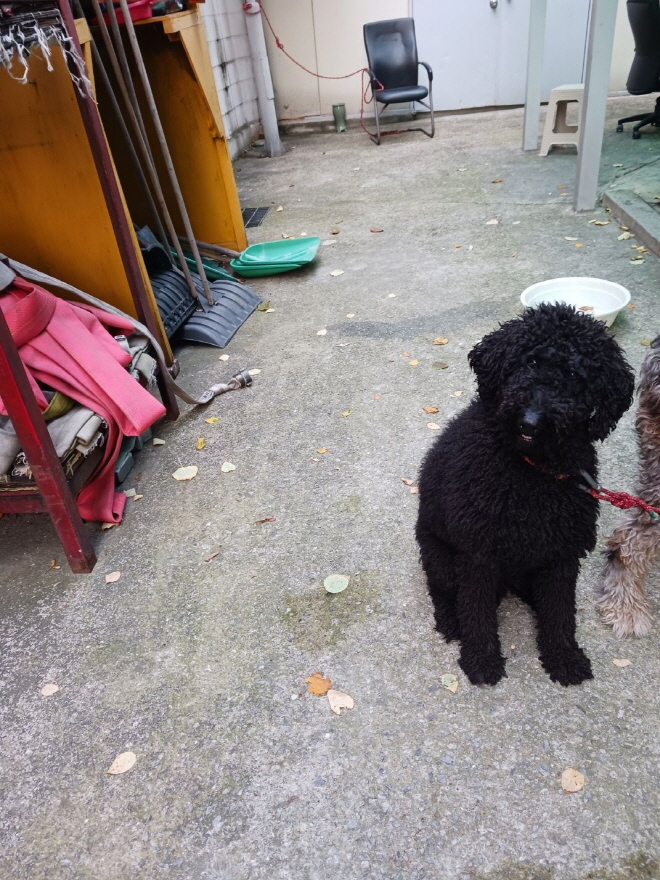 남산동물병원_411302202300765
