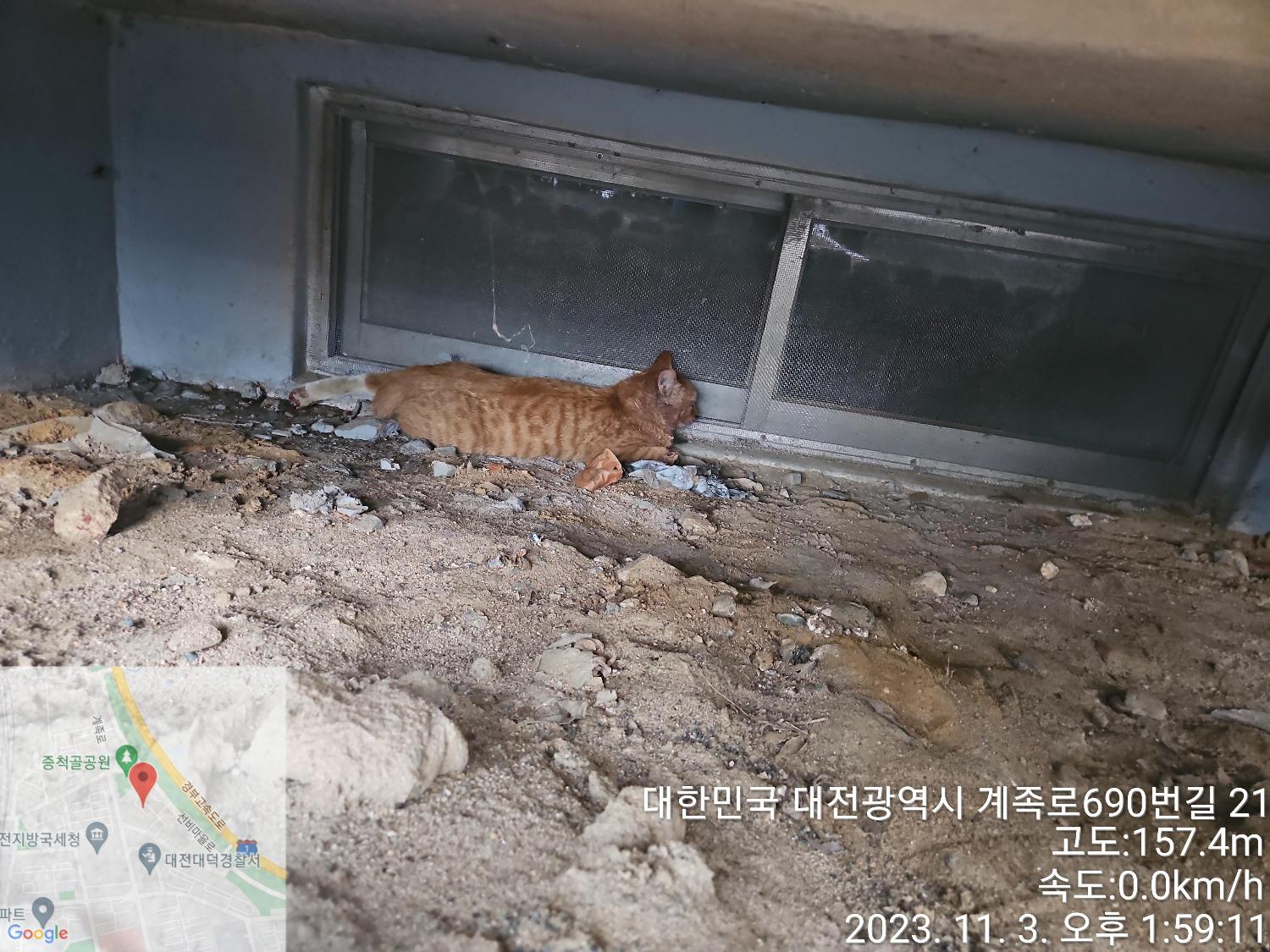 대전동물보호센터_430368202300571