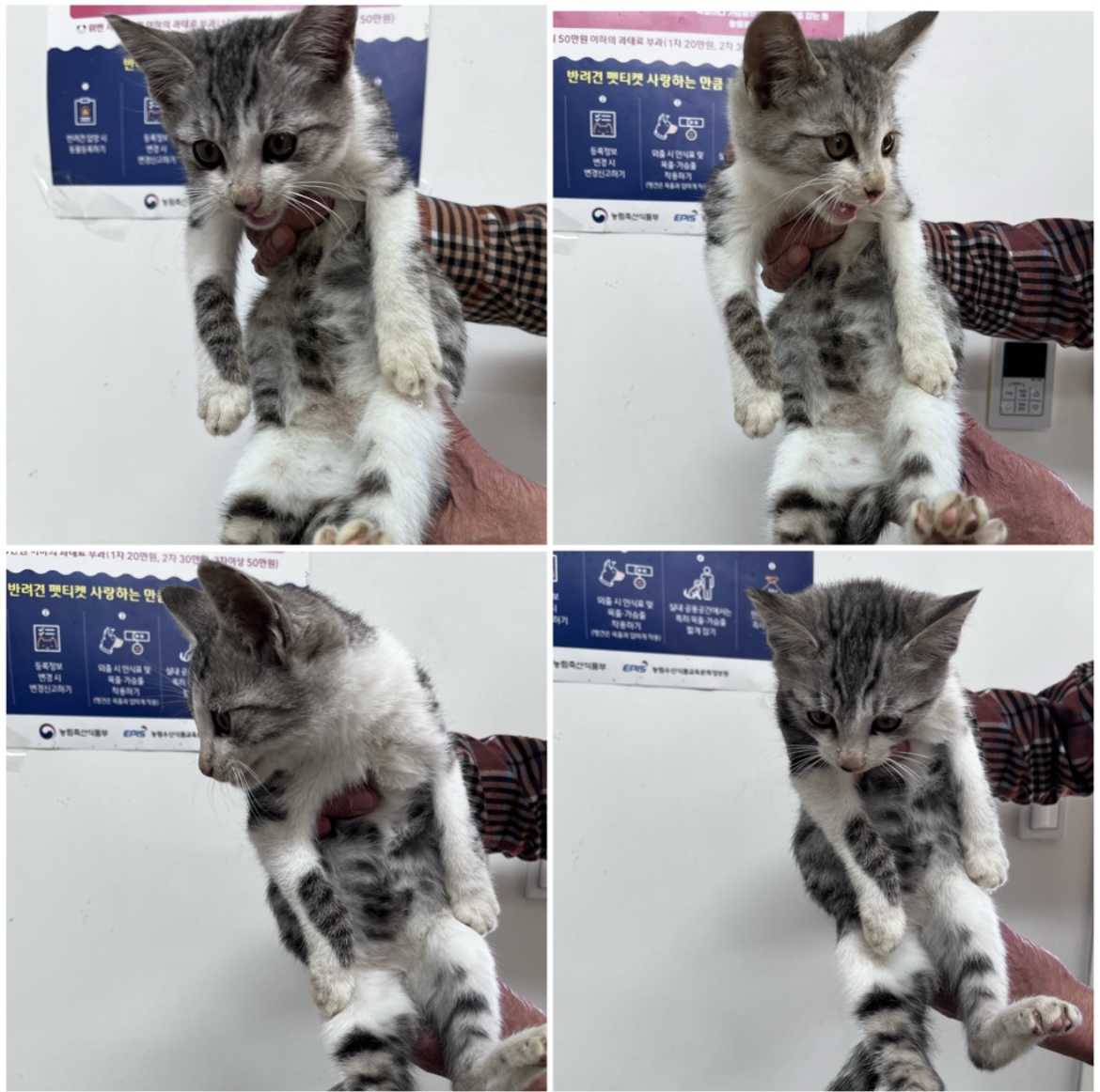 천안시유기동물보호소_444449202302284