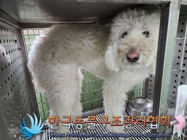 한국동물구조관리협회_441406202301760