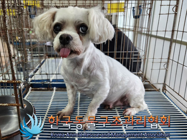 한국동물구조관리협회_411317202300367