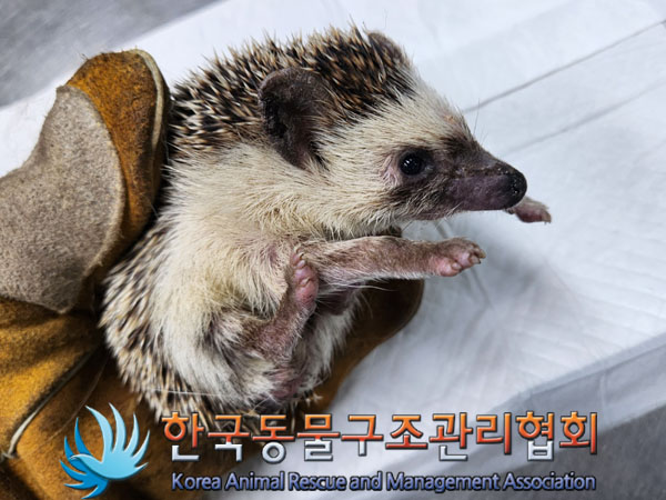 한국동물구조관리협회_411322202300799