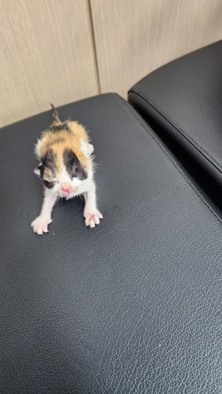 익산유기동물보호소_445468202302161