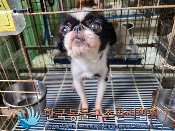 한국동물구조관리협회_411311202300877