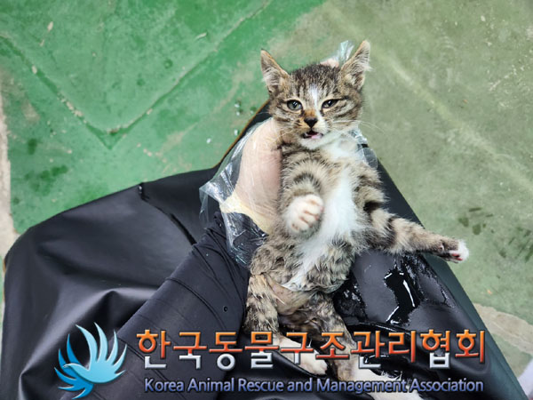 한국동물구조관리협회_441406202301770
