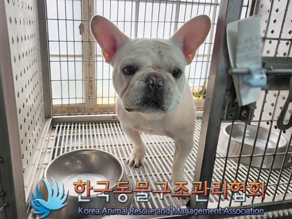 한국동물구조관리협회_411304202300743