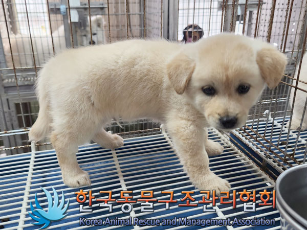 한국동물구조관리협회_441560202301463