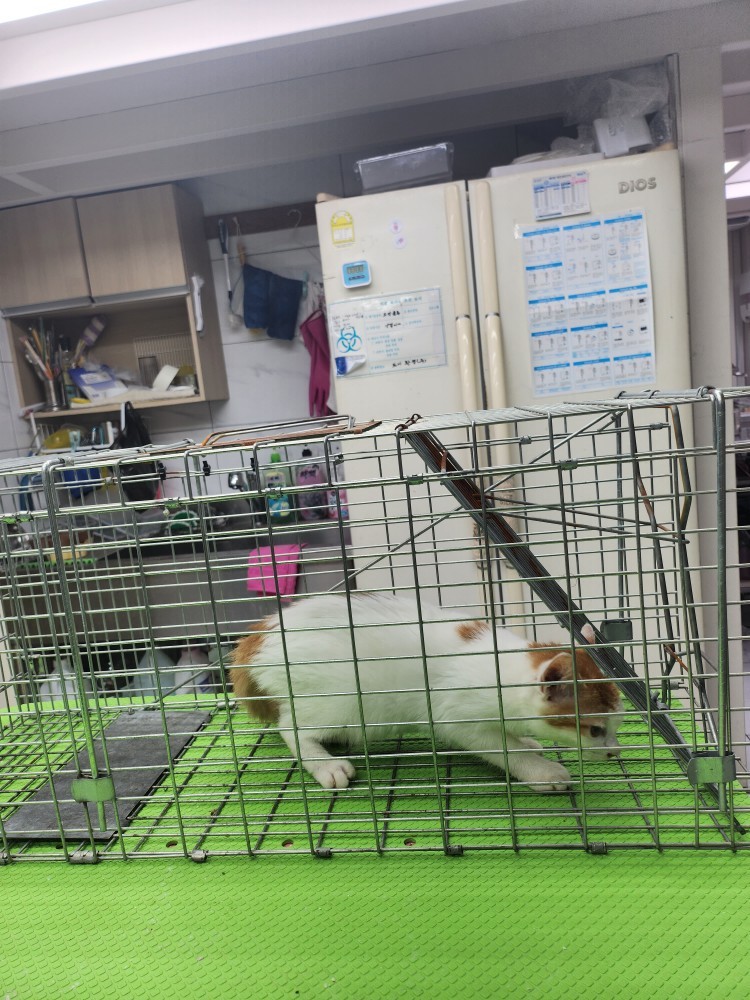 신공항동물병원_428349202301039