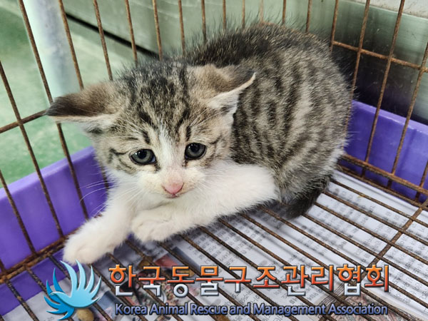종료(자연사) 한국…