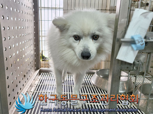 한국동물구조관리협회_411312202300727