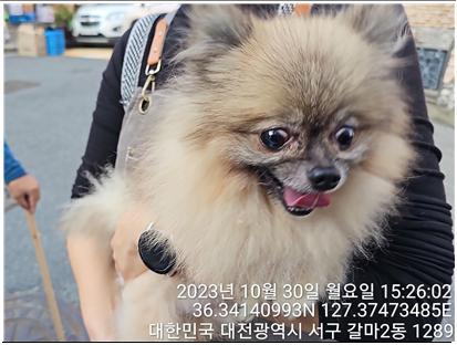 대전동물보호센터_430366202300636
