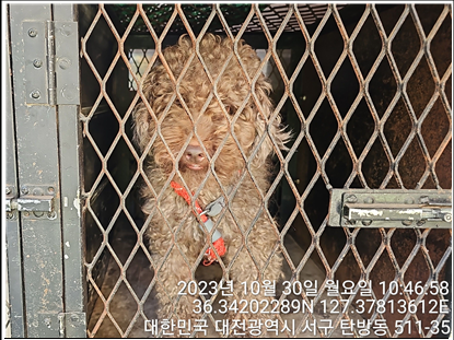 대전동물보호센터_430366202300642