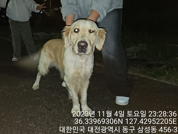 대전동물보호센터_430364202300342