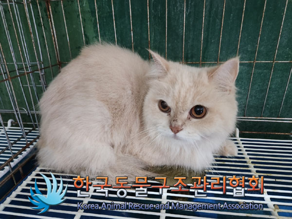 한국동물구조관리협회_411304202300748