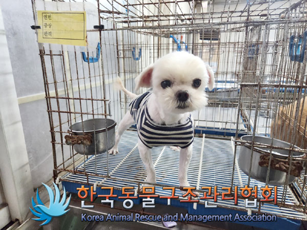 한국동물구조관리협회_411305202300550