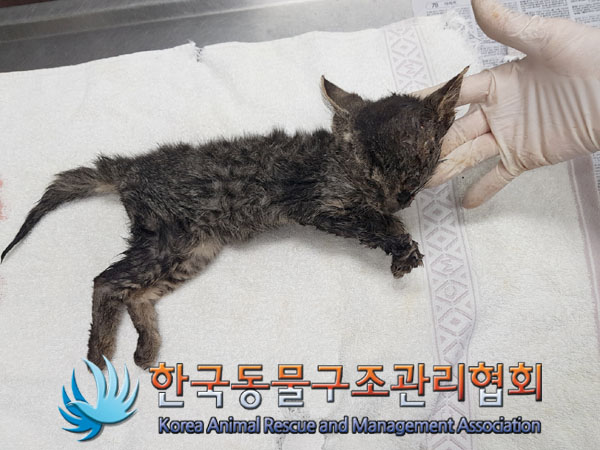 종료(자연사) 한국…