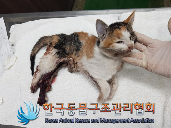 종료(자연사) 한국…