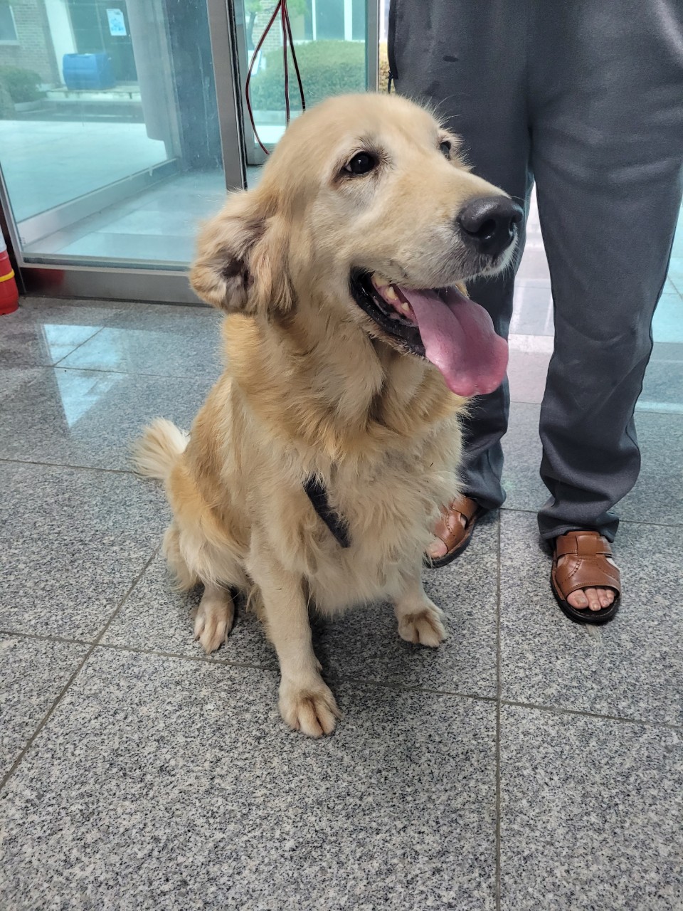 논산시 동물보호센터_444454202300950