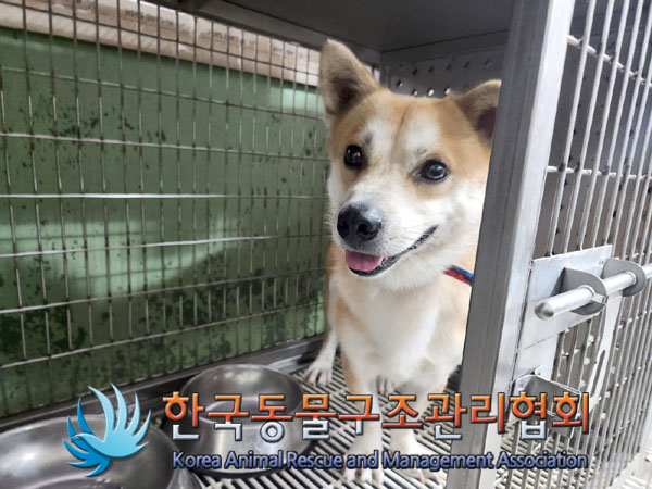 한국동물구조관리협회_411307202300499