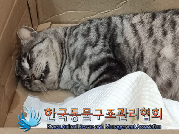 한국동물구조관리협회_411306202300768