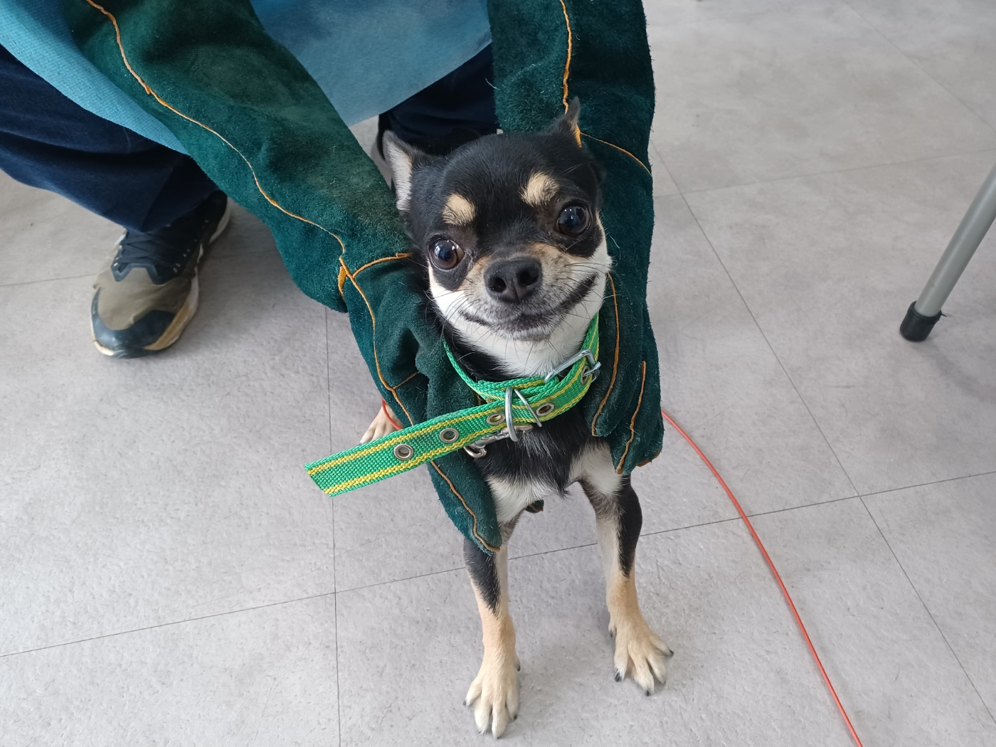 시흥동물누리보호센터_441401202301757