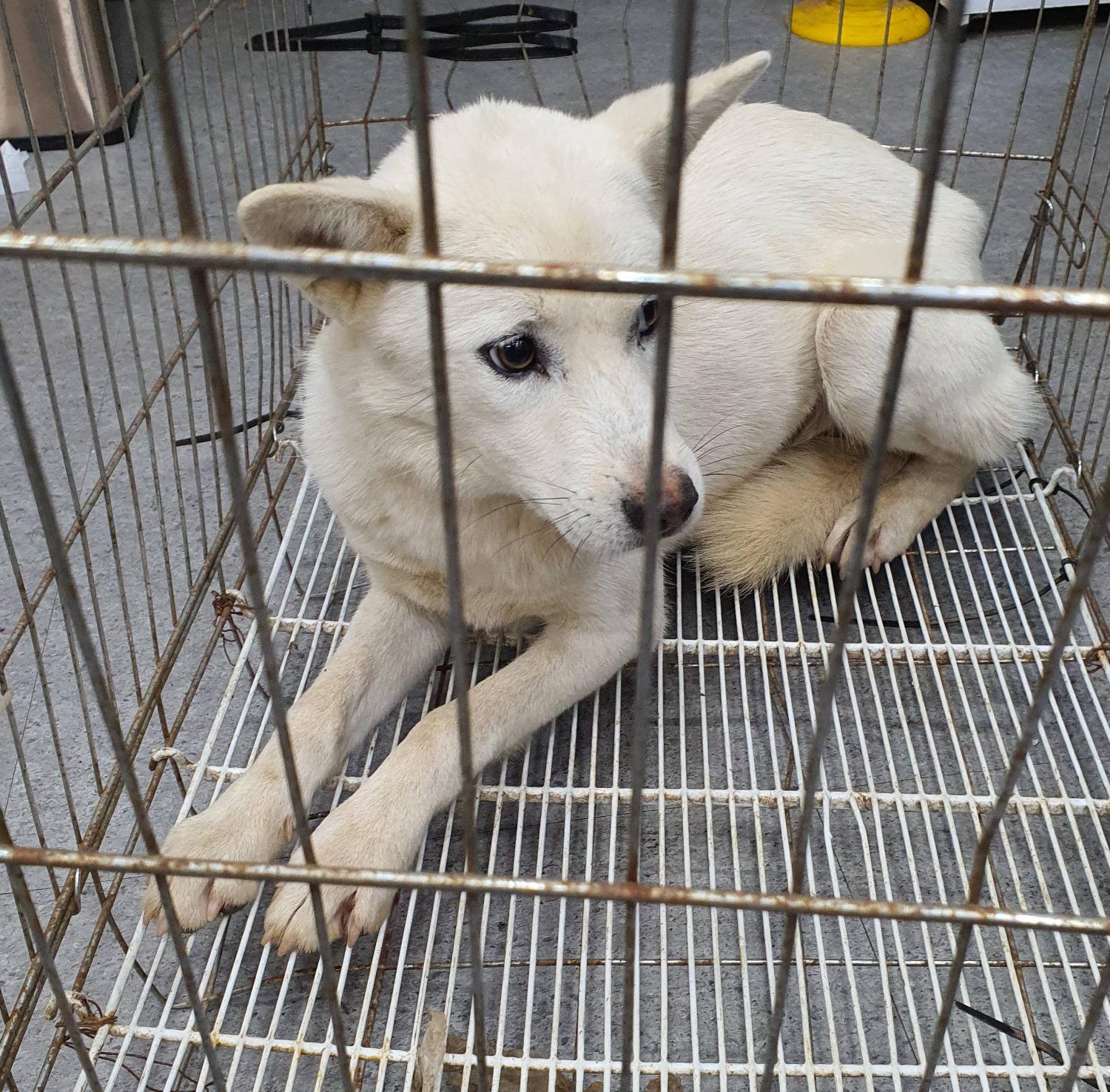 베스트동물병원_428357202301504