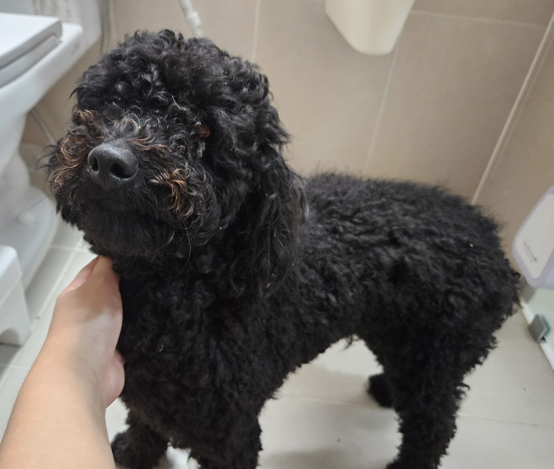 울진군동물보호센터_447525202300386
