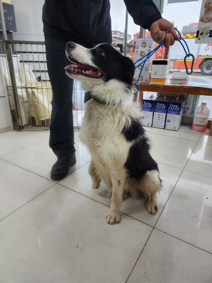 이성준동물병원_441408202301544