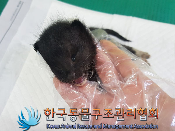 종료(자연사) 한국…