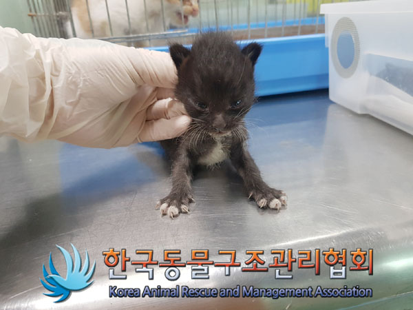 종료(자연사) 한국…