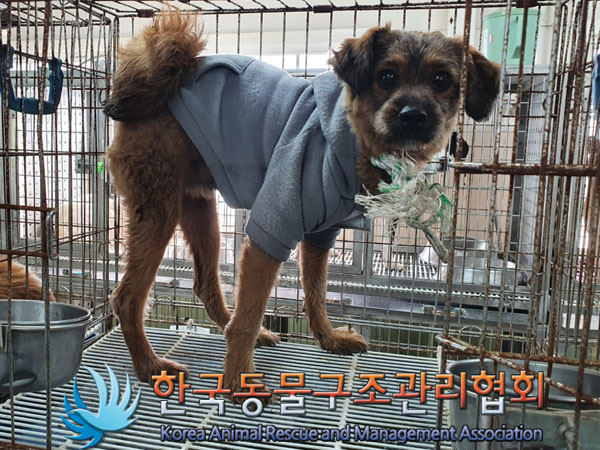 한국동물구조관리협회_441560202301470